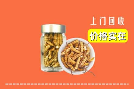 收购资讯:泰州靖江市回收散虫草