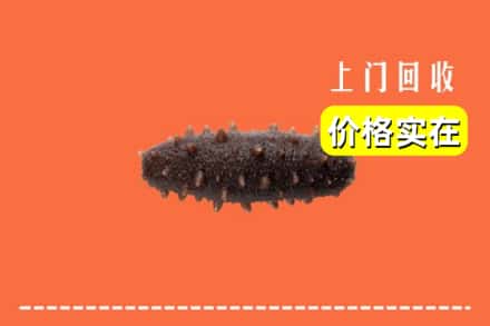 收购资讯:泰州靖江市回收海参