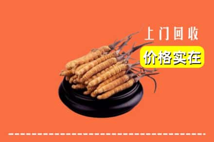 泰州靖江市回收冬虫夏草