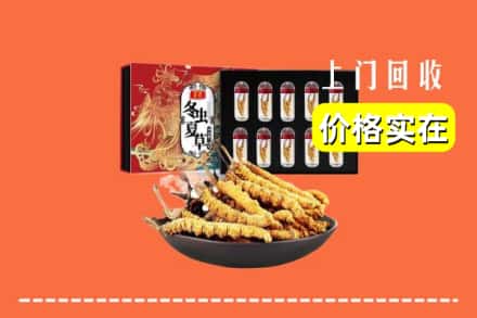 泰州靖江市回收虫草